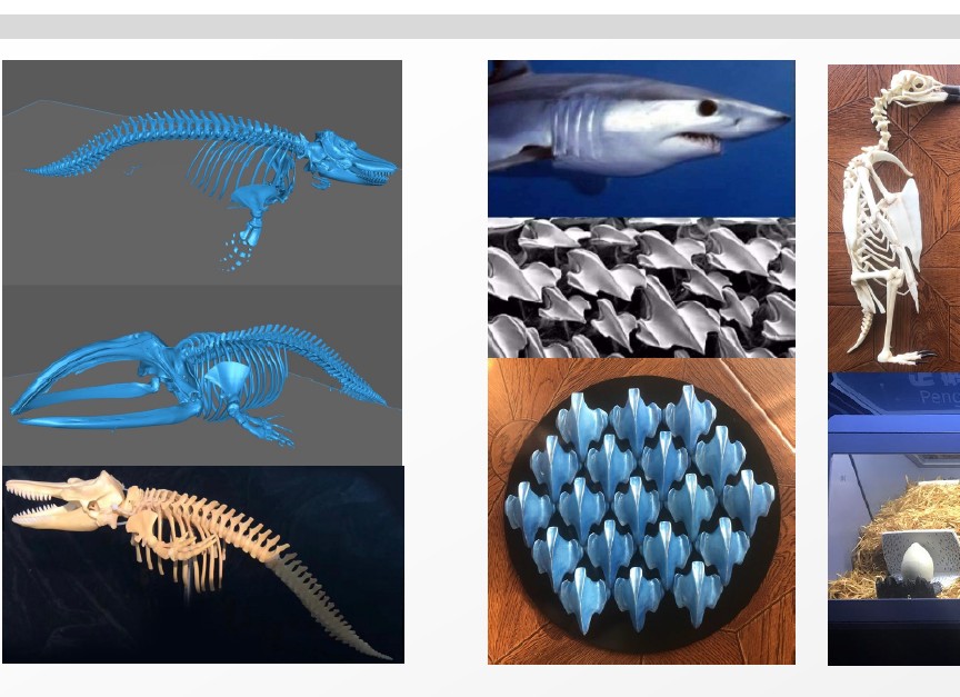 science and education themed FRP fabrication — interactive exhibit environment