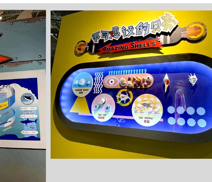 science and education themed FRP fabrication — interactive exhibit environment