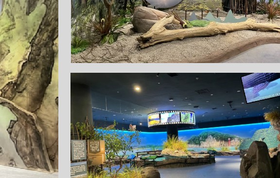 aquarium themed fiberglass feature — marine scenic FRP fabrication