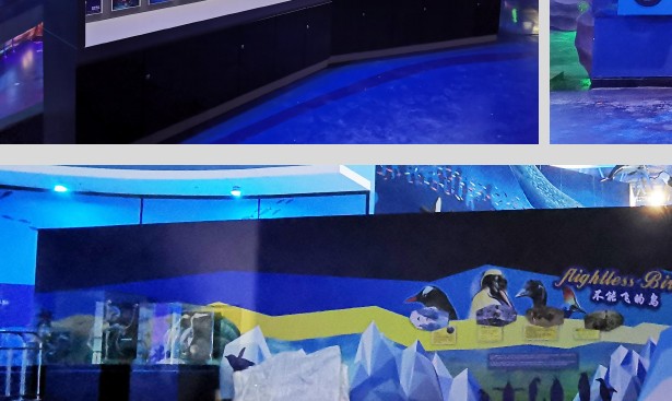 science and education themed FRP fabrication — interactive exhibit environment