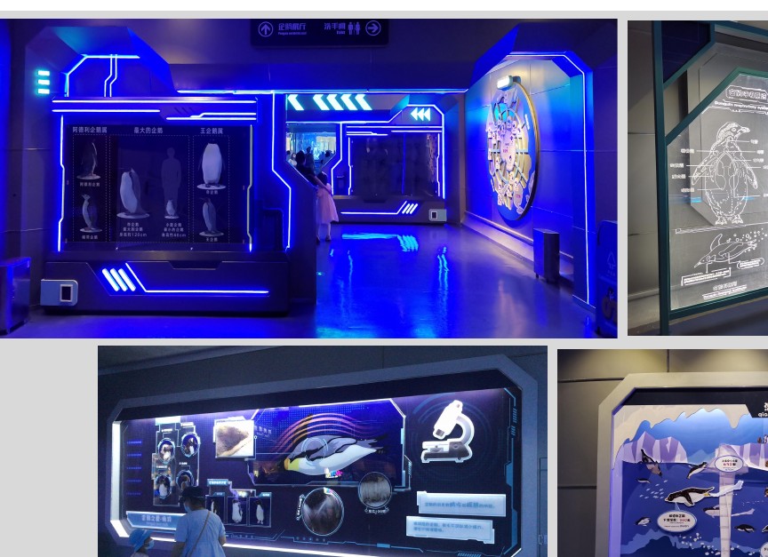 science and education themed FRP fabrication — interactive exhibit environment