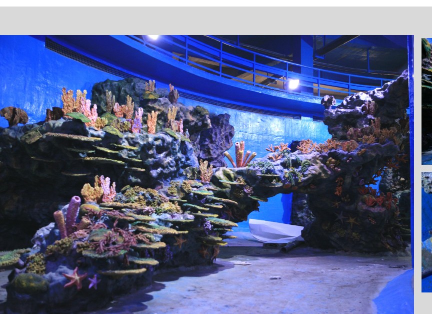 aquarium themed fiberglass feature — marine scenic FRP fabrication
