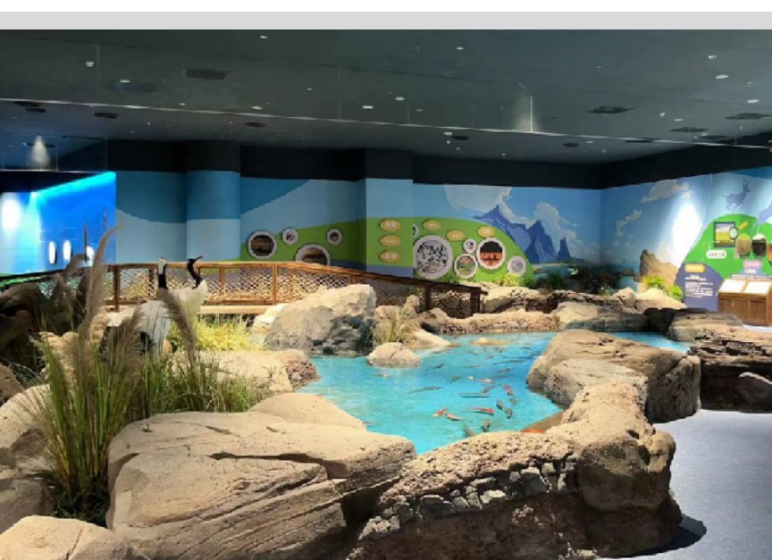 aquarium themed fiberglass feature — marine scenic FRP fabrication