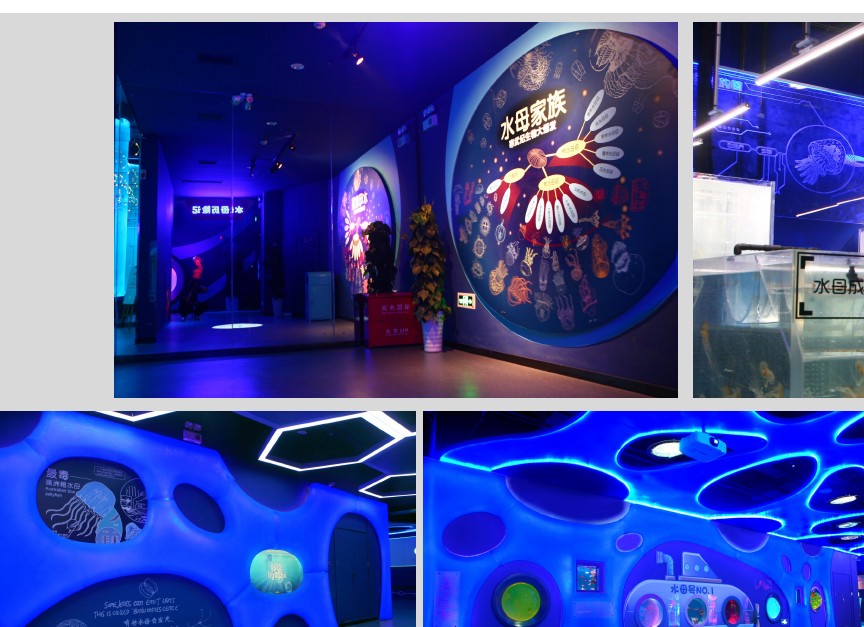 science and education themed FRP fabrication — interactive exhibit environment