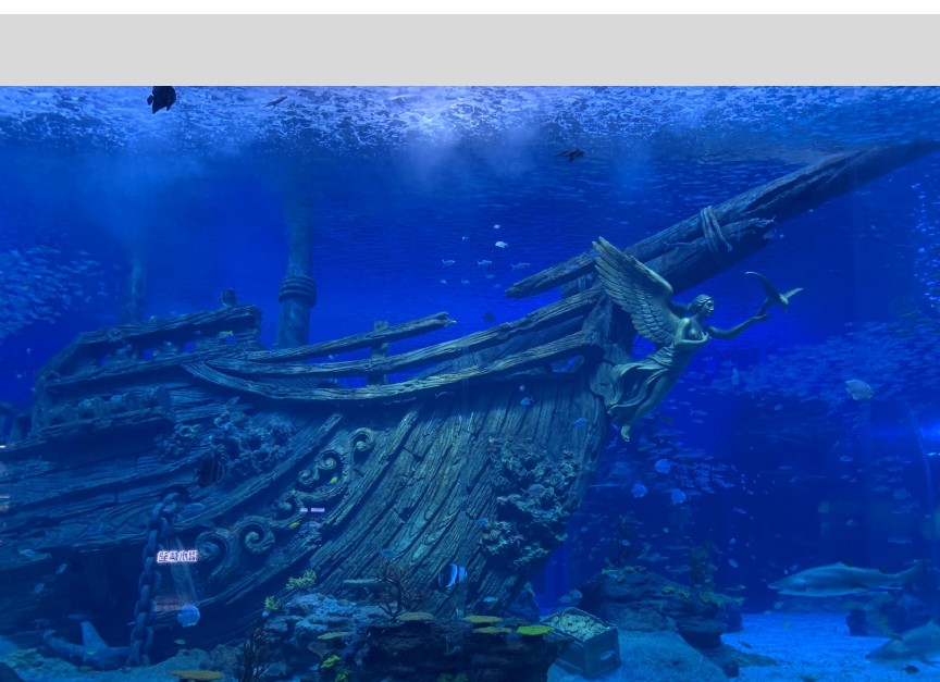 aquarium themed fiberglass feature — marine scenic FRP fabrication