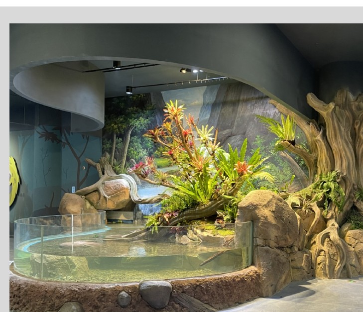 aquarium themed fiberglass feature — marine scenic FRP fabrication