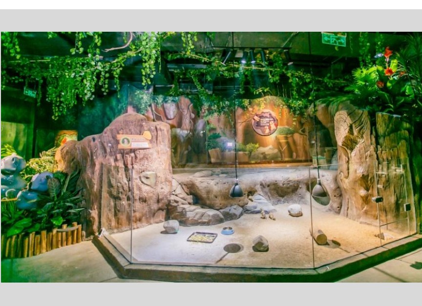 aquarium themed fiberglass feature — marine scenic FRP fabrication