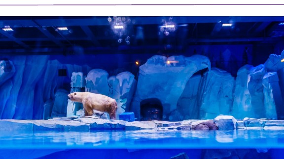 aquarium themed fiberglass feature — marine scenic FRP fabrication